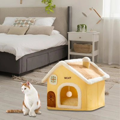 chat devant maison pour chaton dans chambre à coucher