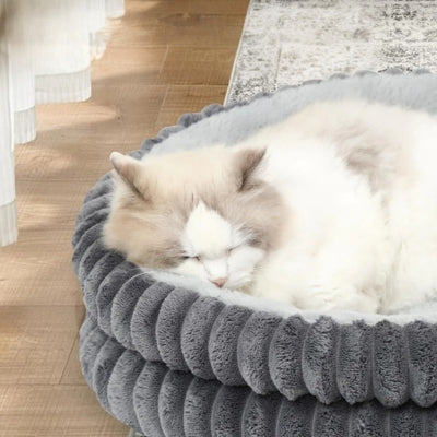 chat dort couffin chaton