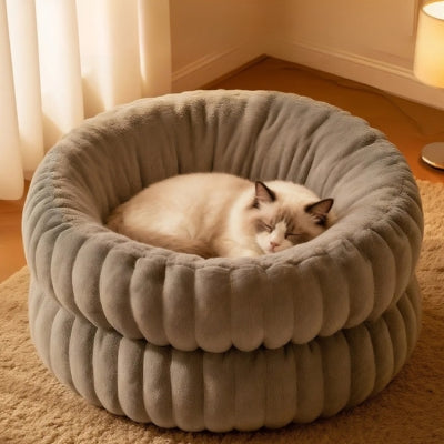 chat dort dans couffin chaton marron