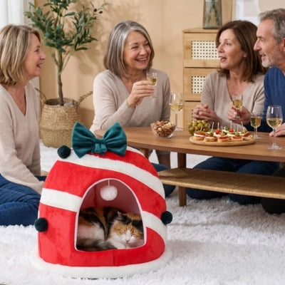 chat dort dans niche chat invités prennent apéro autour