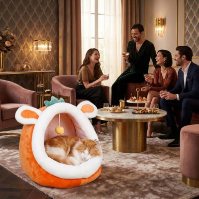 chat dort dans niche chats orange amis discutent à côté