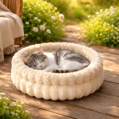 chat dort en boule dans lit pour chaton sur terrasse