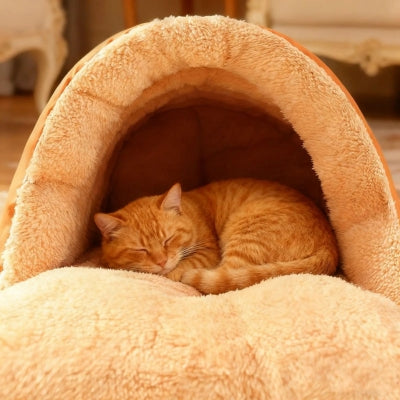 chat dort en boule dans sa niche chat isolée