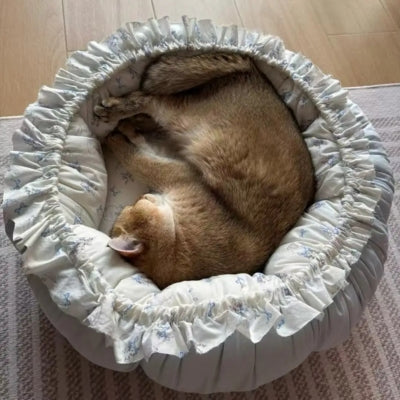 chat dort en boule dans un de ses couffins pour chats