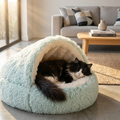 chat dort paisiblement dans cocon chat vert menthe