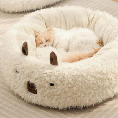 chat dort paisiblement dans un de ses coussins chat