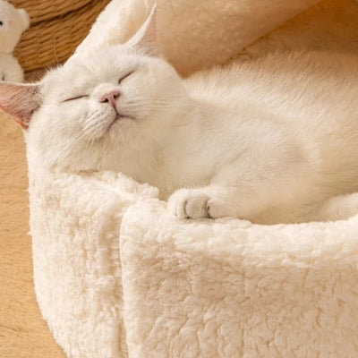 chat dort tête appuyée rebord cocon pour chat