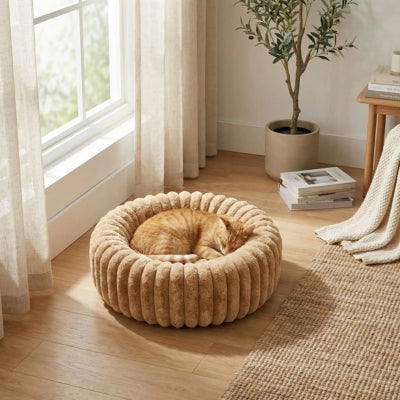 chat en boule dans couffin pour chat