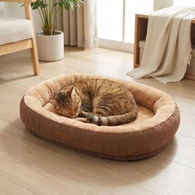 chat en boule endormi dans un des coussins chat nid moelleux café