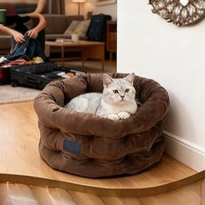 chat en detente dans cocon pour chat