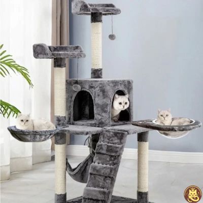 chat detendu dans hamac pour chat hamaczen suspendu arbre chat