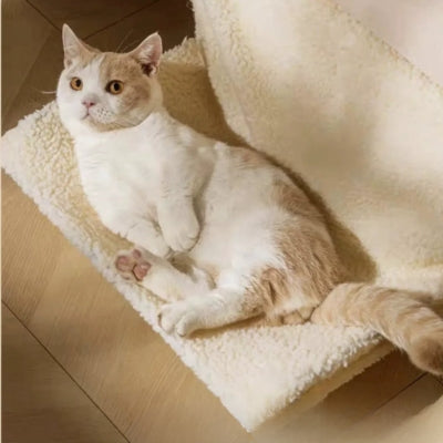 chat en detente hamac radiateur chat