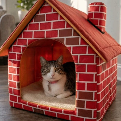 chaton en detente paisible dans maison pour chaton