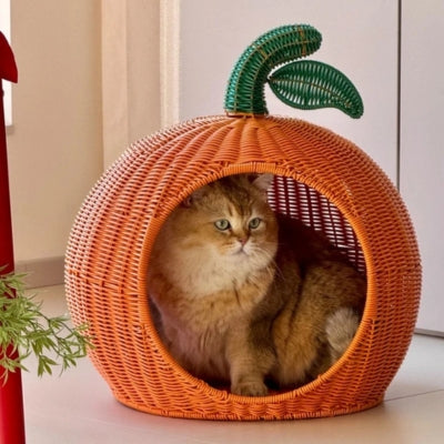 chat en detente panier en rotin pour chat