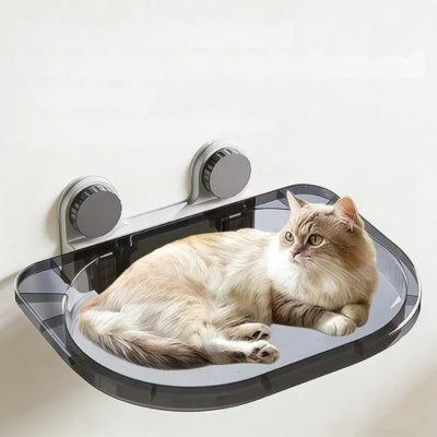 chat en detente sur hamac chat suspendu au mur