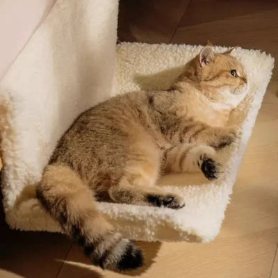 Hamac Radiateur Chat - Douillet Zen