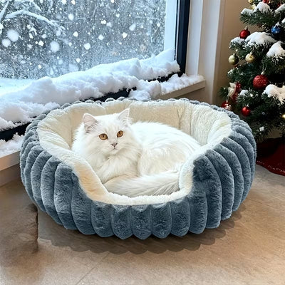 chat en relaxation dans panier grand chat gris