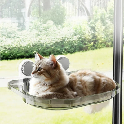 chat en relaxation sur hamac chat suspendu