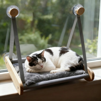 chat endormi confortablement sur hamac à chat