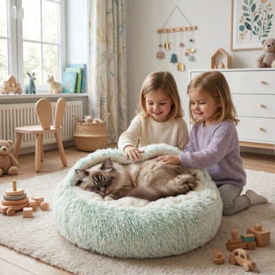 chat endormi dans cocon chat deux fillettes le caressent tendrement