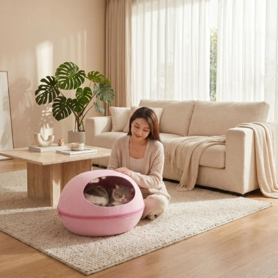 chat endormi dans cocon chat rose maîtresse à côté