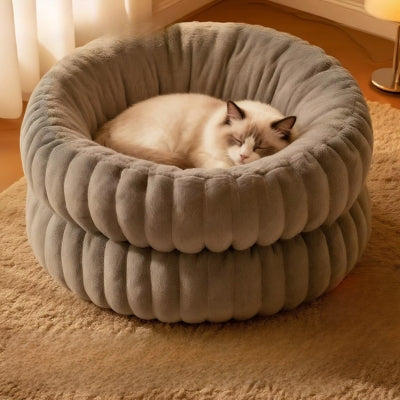 chat endormi dans couffin chaton