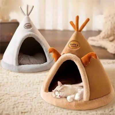 chat endormi dans maison pour chaton marron maison grise derrière