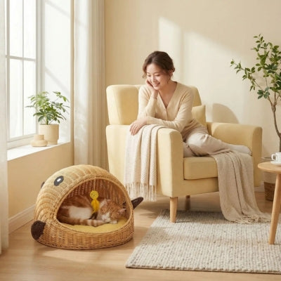 chat endormi dans panier chatons maîtresse le regarde tendrement