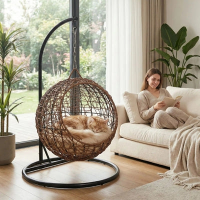 chat endormi dans panier pour chat osier maîtresse relaxant canapé