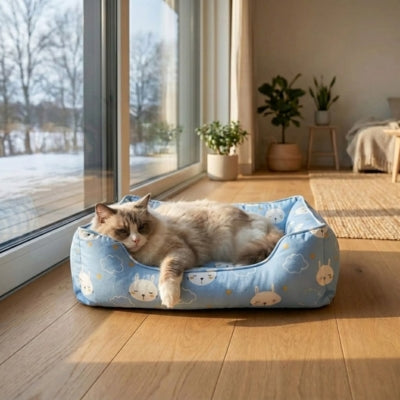 chat endormi sur un des coussins chats douconfort bleu