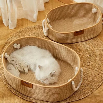 chat enroulé dans panier chatons autre panier à côté