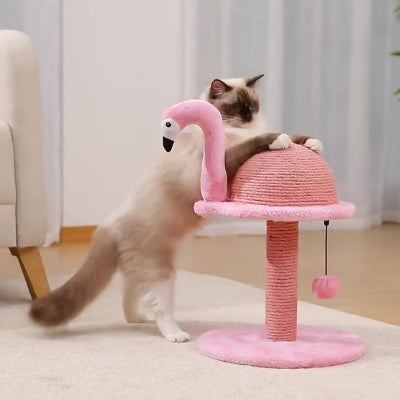 chat étiré sur griffoir chat