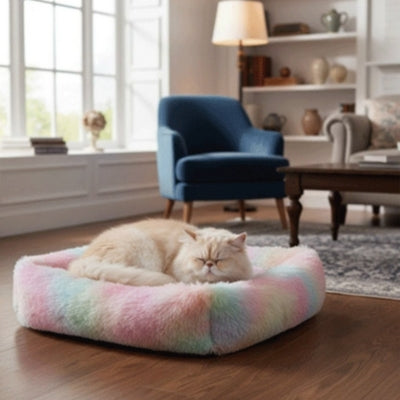 chat fait sa sieste sur coussin chaton