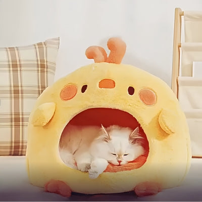 chat fait sieste dans cocoon chat