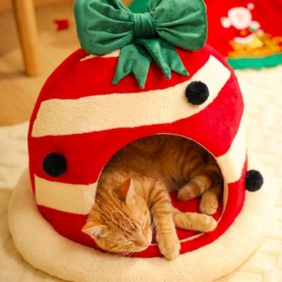 chat fait sieste dans niche chat miao noel