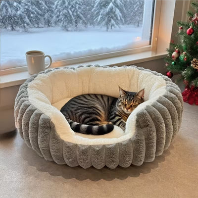chat fait sa sieste dans panier grand chat gris
