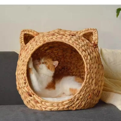chat griffant panier à chat en osier