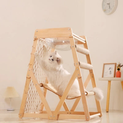 chat grimpe sur filet de son hamac à chat