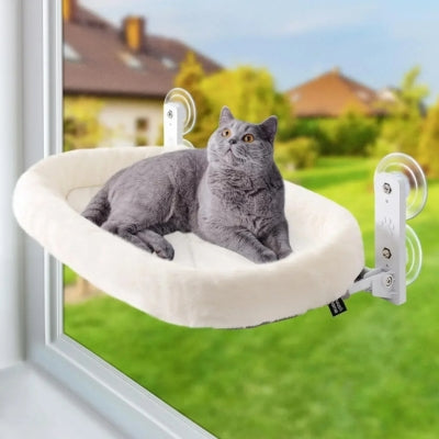 chat hamac fenêtre chartreux relaxant dessus