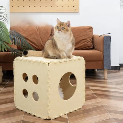 chat installé sur toit maison pour chaton