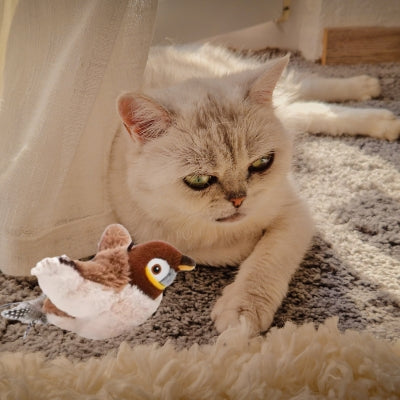 chat jouet chaton relaxant à côté son jouet oiseau
