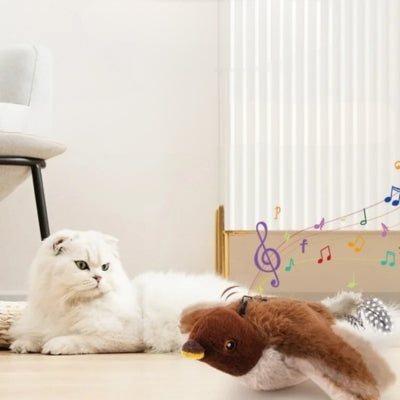 chat jouet persan relaxant en écoutant son jouet oiseau gazouiller