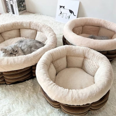 chat lové dans couffin chaton deux autres couffins dans salon