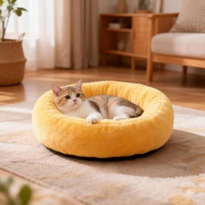 chat lové dans couffin pour chat jaune poussin