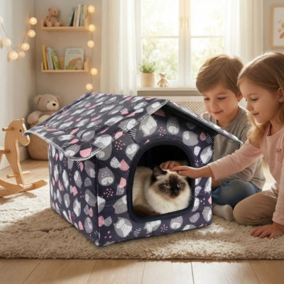 chat lové dans maison pour chat filette le caressant