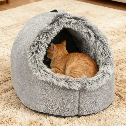 chat lové dans niche a chat cocon nomade