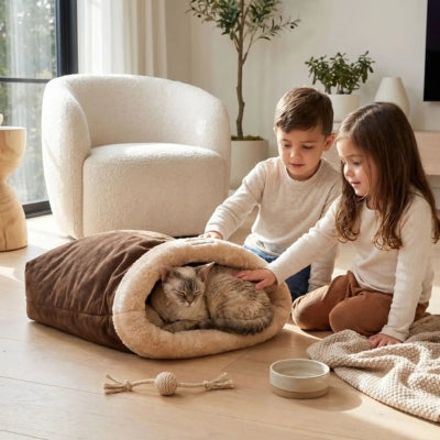 chat lové dans niche chat enfants le caressant delicatement