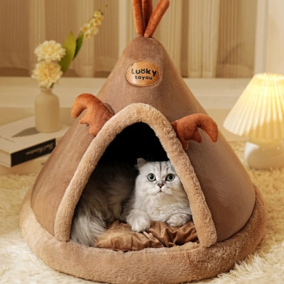 chat lové dans sa maison pour chaton