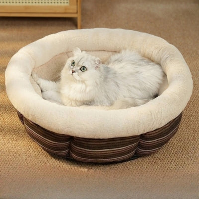 chat lové dans son couffin chaton