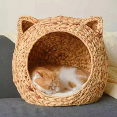 chat lové dans son panier à chat en osier